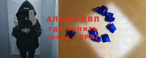 стафф Алексин