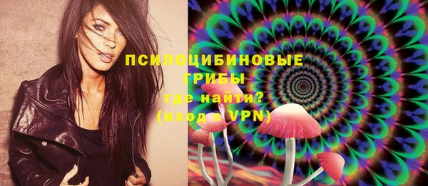 стафф Алексин