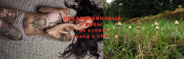стафф Алексин