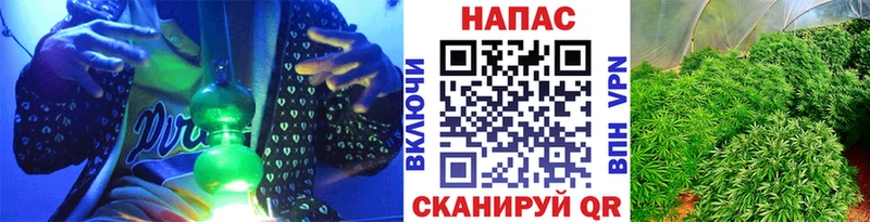 закладка  Йошкар-Ола  Бошки Шишки VHQ 
